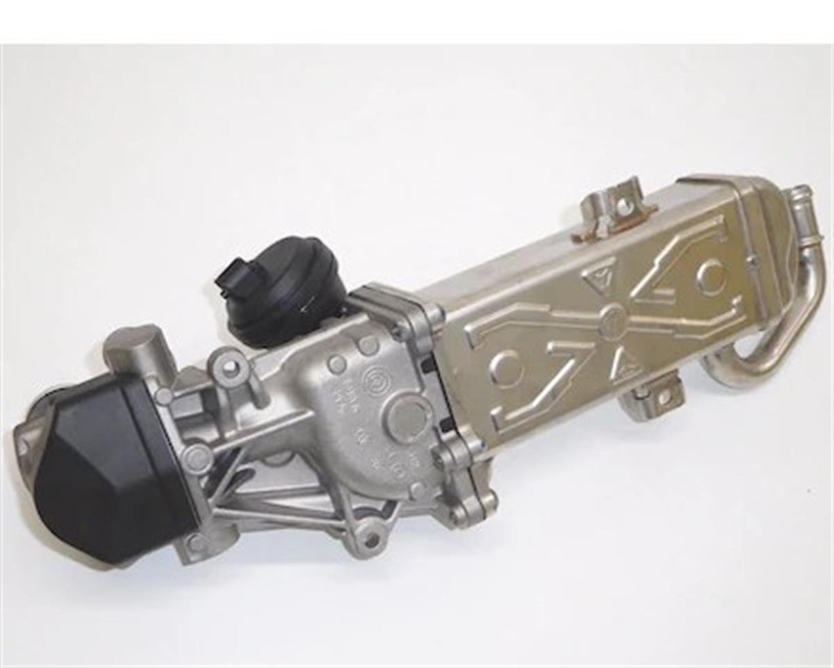 DELPHI EG10409-12B1-EGR VALFI 1.9 TDI TRANSPORTER T5 >  038131501AL//1105